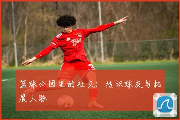 篮球公园里的社交：结识球友与拓展人脉